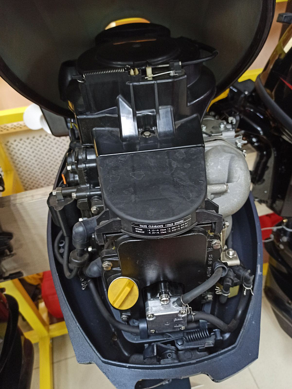 Лодочный мотор BREEZE F9,9S (4х тактный) в Волгодонске