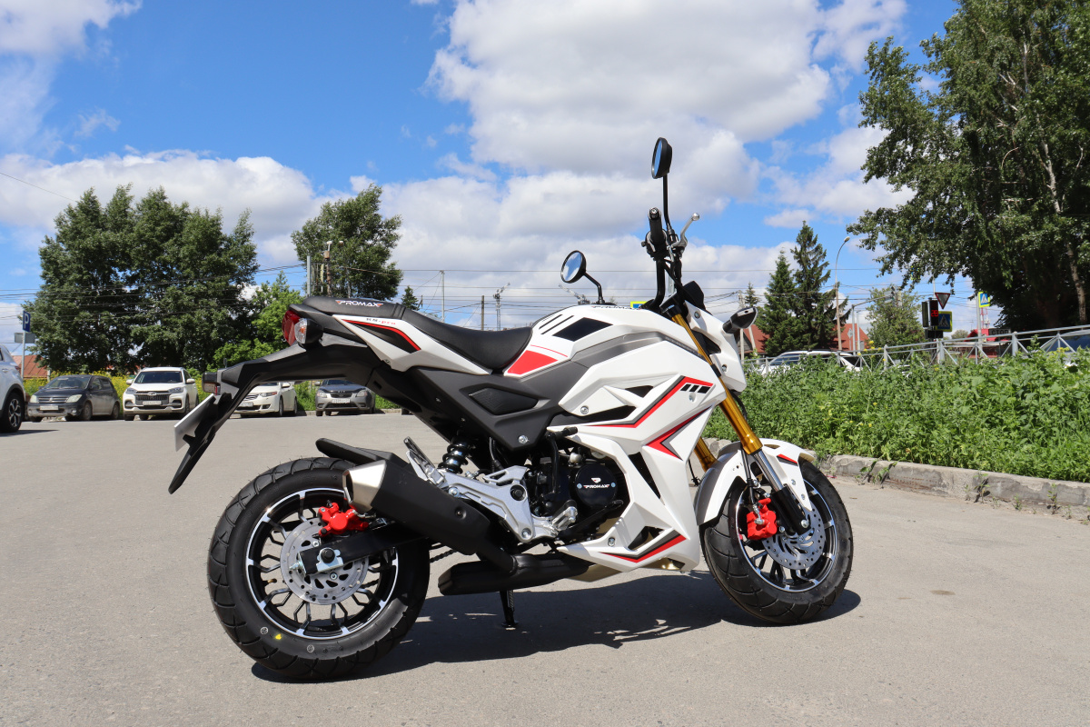 Мотоцикл PROMAX STRYKER 200(49) 2.0 в Волгодонске