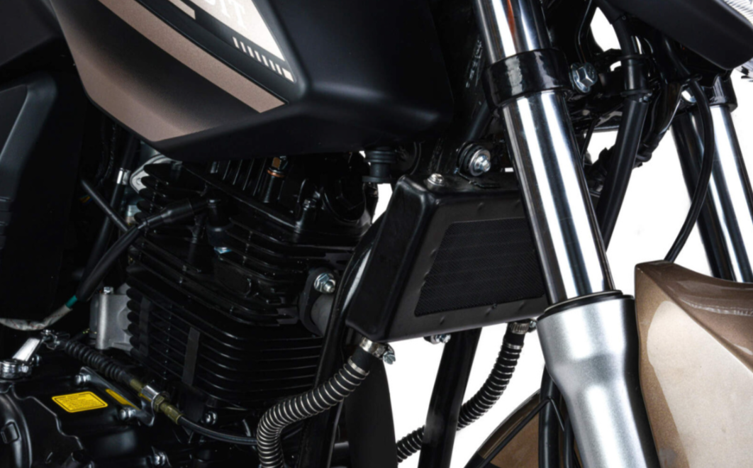 Мотоцикл MOTOLAND (МОТОЛЕНД) 300 BANDIT в Волгодонске