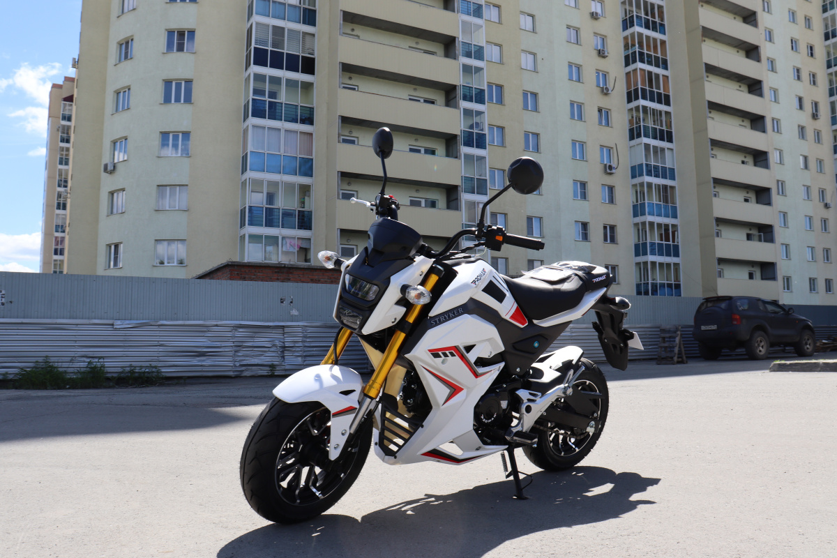 Мотоцикл PROMAX STRYKER 200(49) 2.0 в Волгодонске