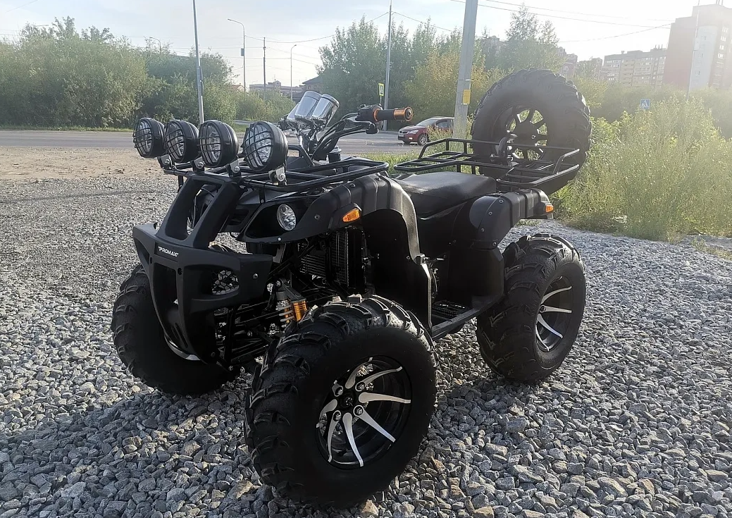 Квадроцикл PROMAX LEO 300 Max (кардан) в Волгодонске