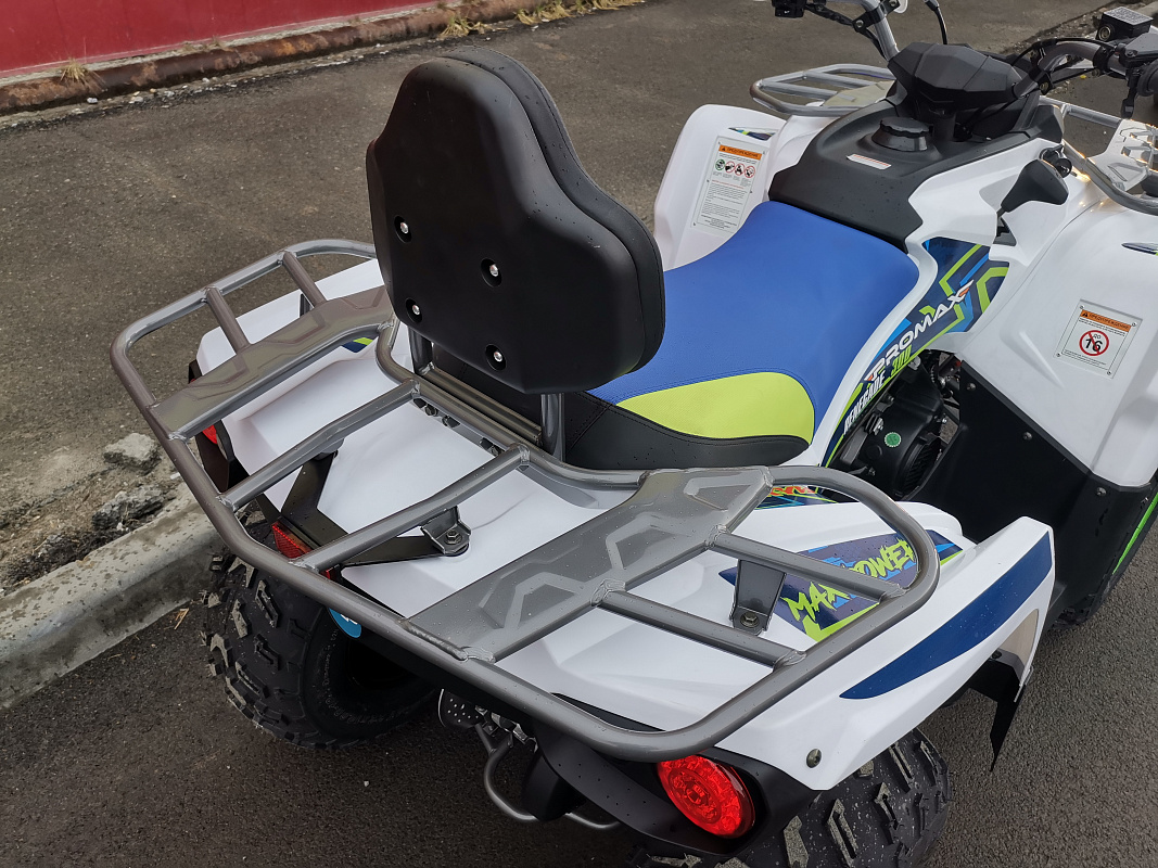 Квадроцикл PROMAX RENEGADE 280 LUX в Волгодонске