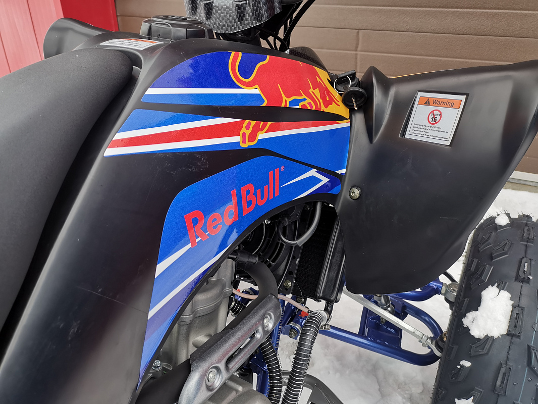 Квадроцикл PROMAX RAPTOR 300 NEW RedBull в Волгодонске