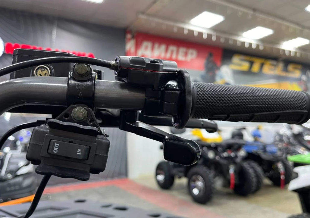 Квадроцикл PROMAX RENEGADE 300 LONG WINCH PRO (2025) в Волгодонске