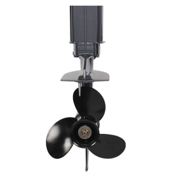 Лодочный мотор ALLFA CG Т40FW S в Волгодонске