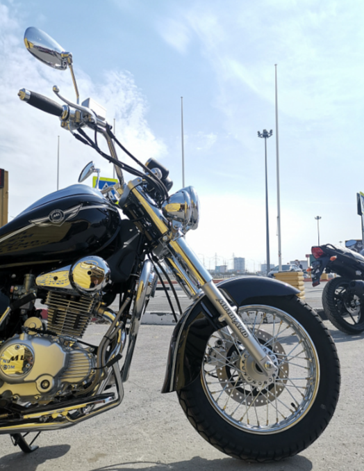 Мотоцикл MOTOLAND (МОТОЛЕНД) WOLF 250 в Волгодонске