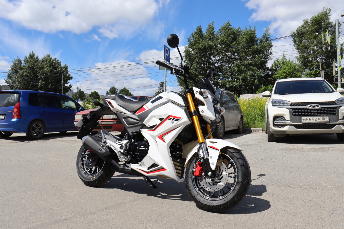 Мотоцикл PROMAX STRYKER 200(49) 2.0 в Волгодонске