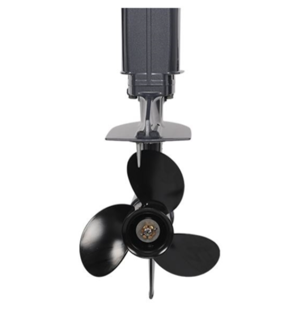 Лодочный мотор ALLFA CG Т40FWT S в Волгодонске