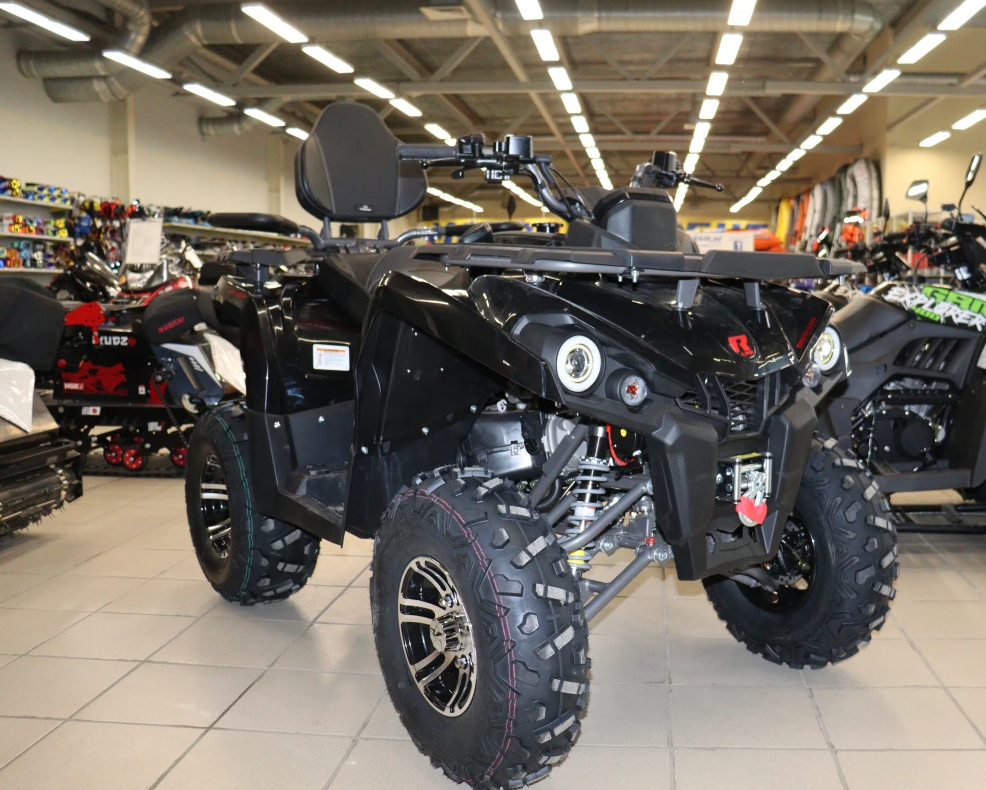Квадроцикл PROMAX RENEGADE 300 LONG WINCH PRO (2025) в Волгодонске