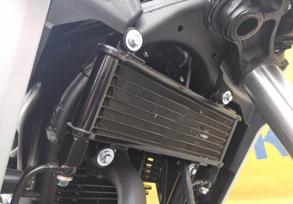 Мотоцикл MOTOLAND (МОТОЛЕНД) 250 CB250 (172FMM-5/PR250) (2022 г.) в Волгодонске