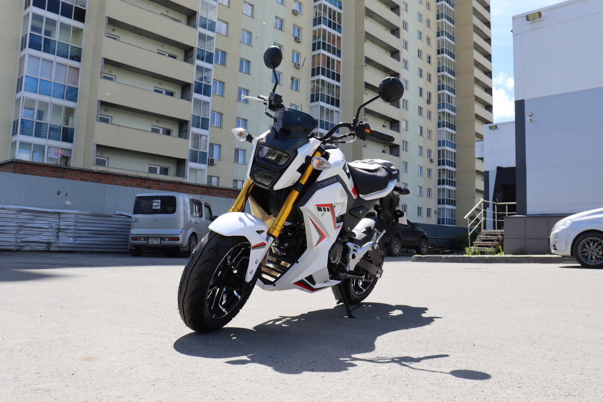 Мотоцикл PROMAX STRYKER 200(49) 2.0 в Волгодонске