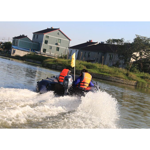 ЛОДОЧНЫЙ МОТОР ALLFA CG Т20 в Волгодонске