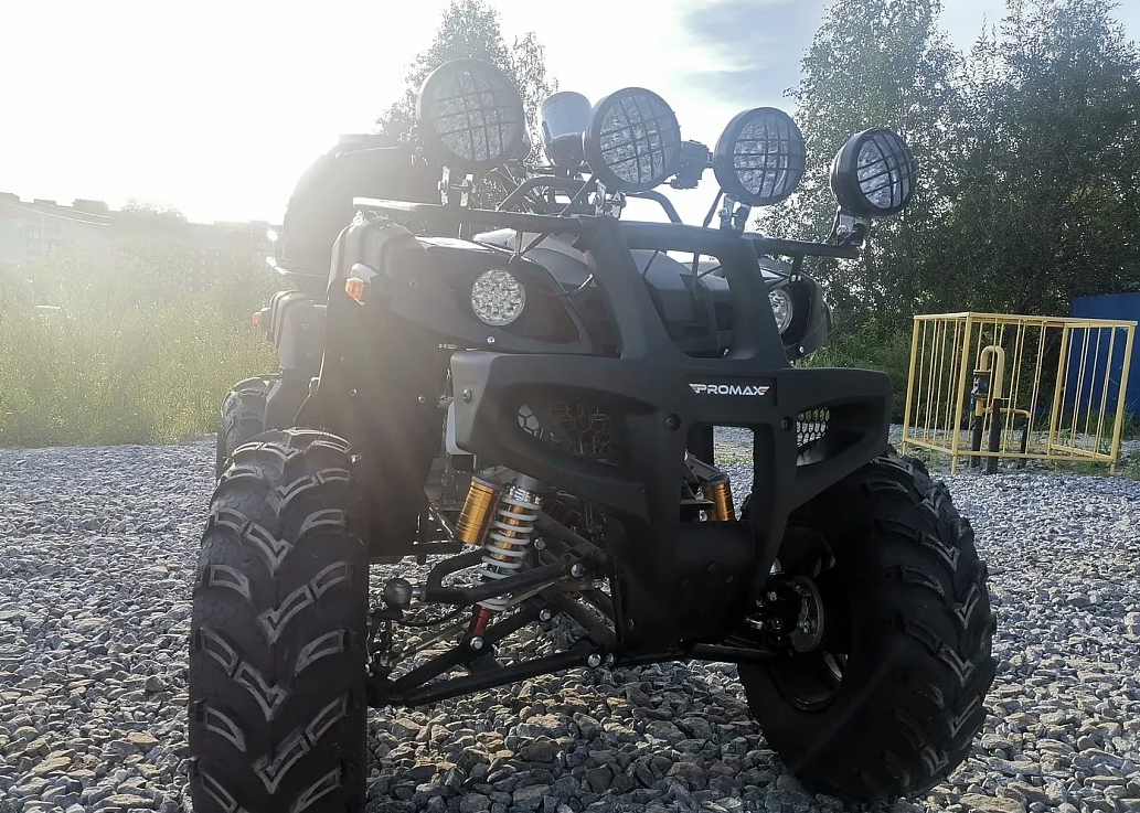 Квадроцикл PROMAX LEO 300 Max (кардан) в Волгодонске
