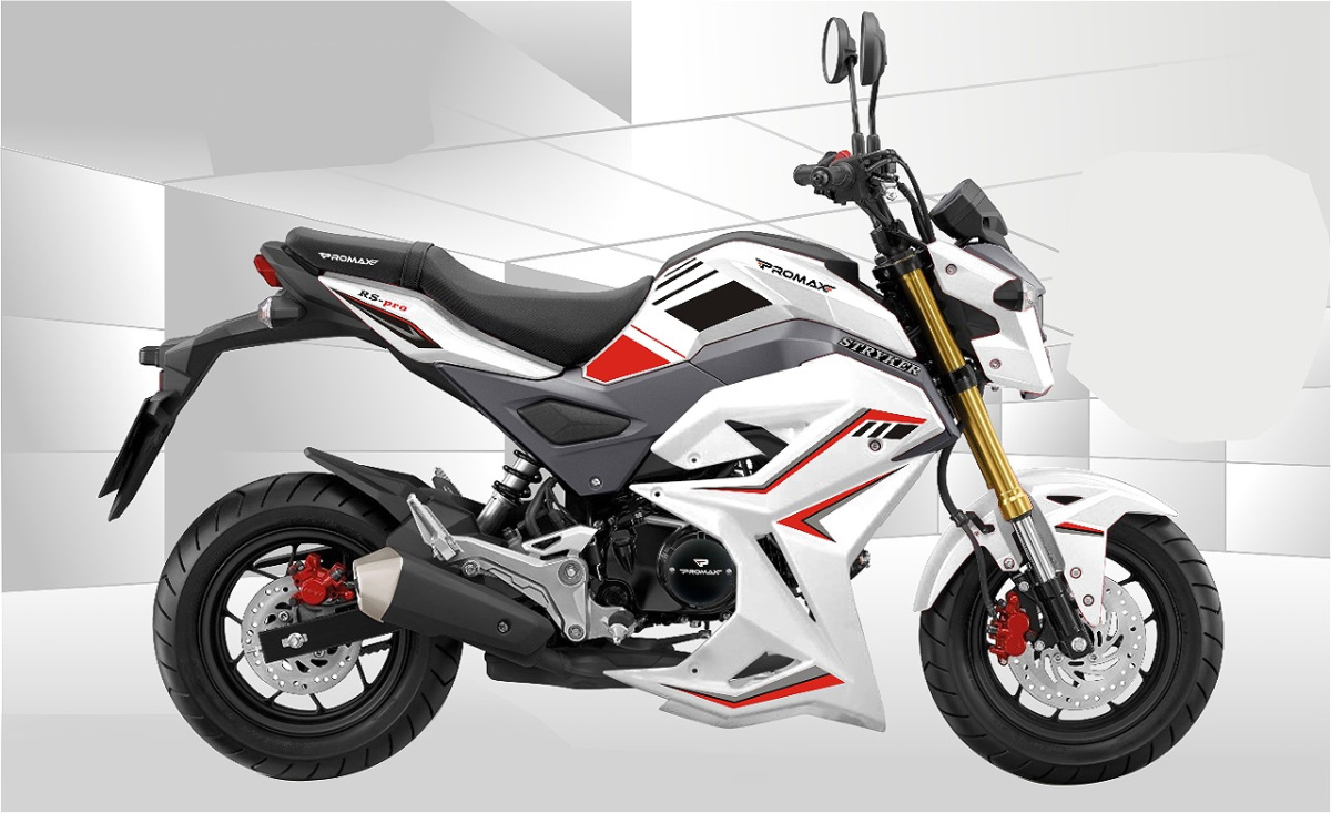 Мотоцикл PROMAX STRYKER 200(49) 2.0 в Волгодонске