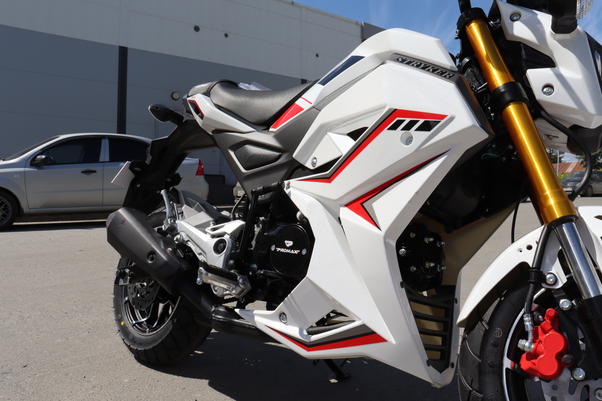 Мотоцикл PROMAX STRYKER 200(49) 2.0 в Волгодонске