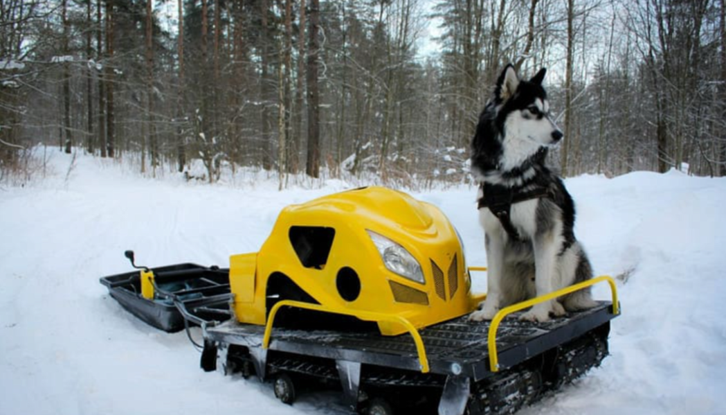 Мотобуксировщик LEBEDEV MOTORS ВОЛКОДАВ POWER V13 в Волгодонске