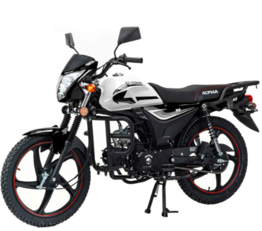 Мопед MOTOLAND (МОТОЛЕНД) Альфа RS 11 (LM48-B) в Волгодонске