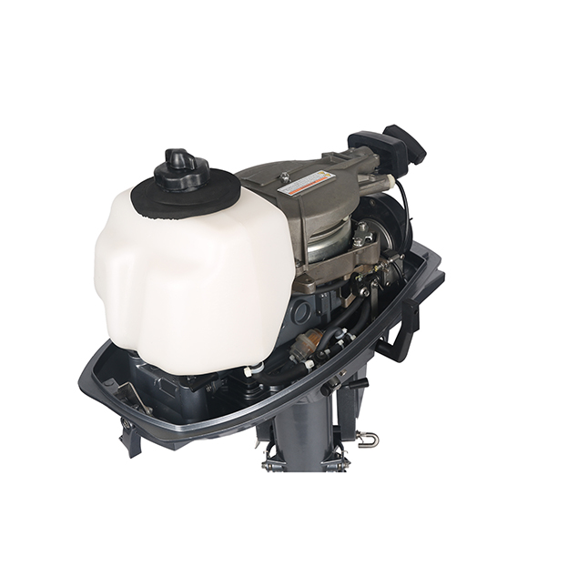 ЛОДОЧНЫЙ МОТОР ALLFA CG T5 в Волгодонске