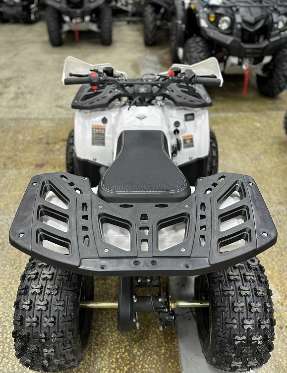 Квадроцикл PROMAX WILD 2.0 190 в Волгодонске