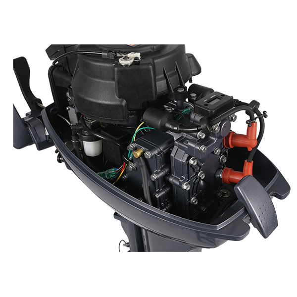 ЛОДОЧНЫЙ МОТОР ALLFA CG Т9,9 Limit в Волгодонске