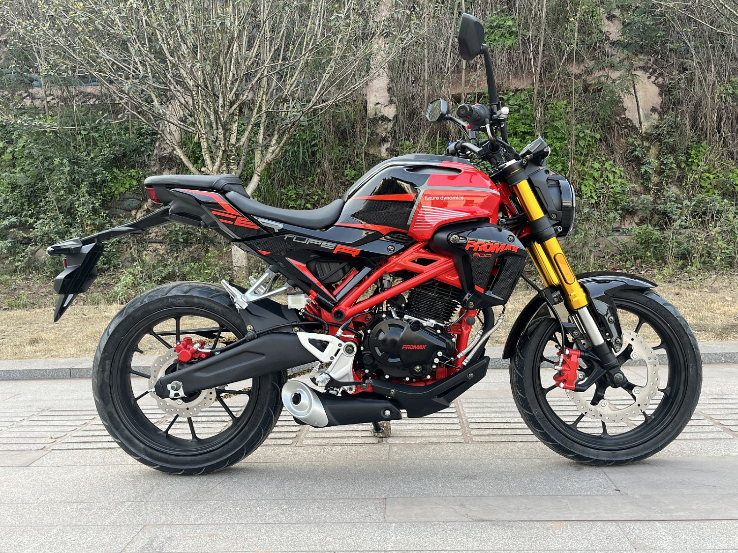 Мотоцикл PROMAX CB300RL (4V, 6G) в Волгодонске