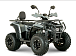 Квадроцикл YACOTA DRAGON LUX LD 150 PRO-SPORT в Волгодонске