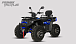 Квадроцикл PROMAX TAURUS 300 MAX-PRO LONG в Волгодонске