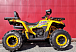 Квадроцикл PROMAX STORM 280 LUX в Волгодонске