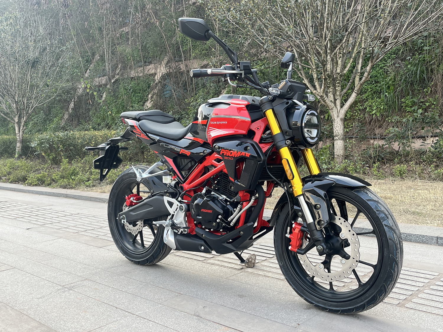 Мотоцикл PROMAX CB300 в Волгодонске