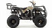 Квадроцикл MOTOLAND (МОТОЛЕНД) 200 ALL ROAD в Волгодонске