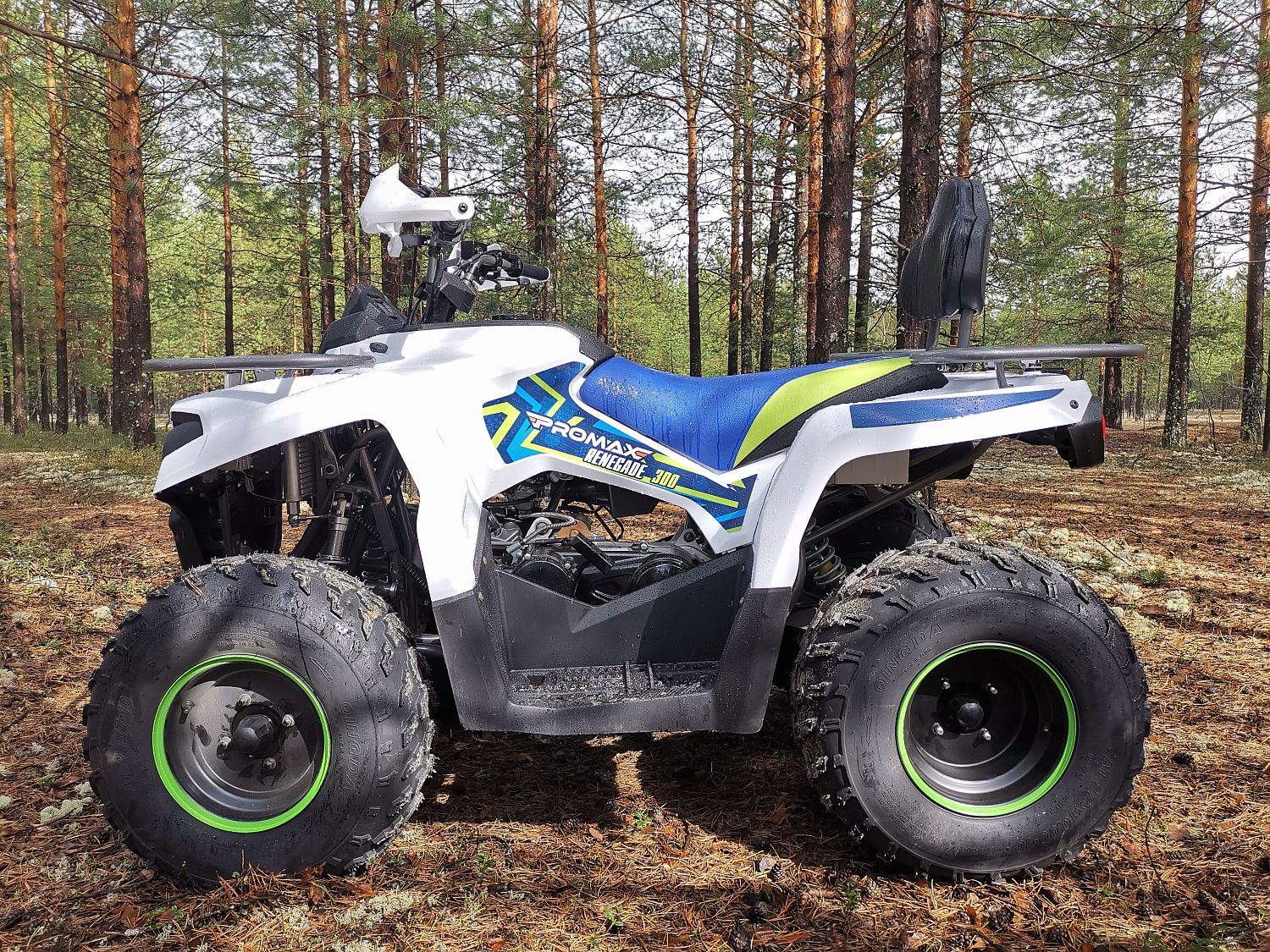 Квадроцикл PROMAX RENEGADE 280 в Волгодонске
