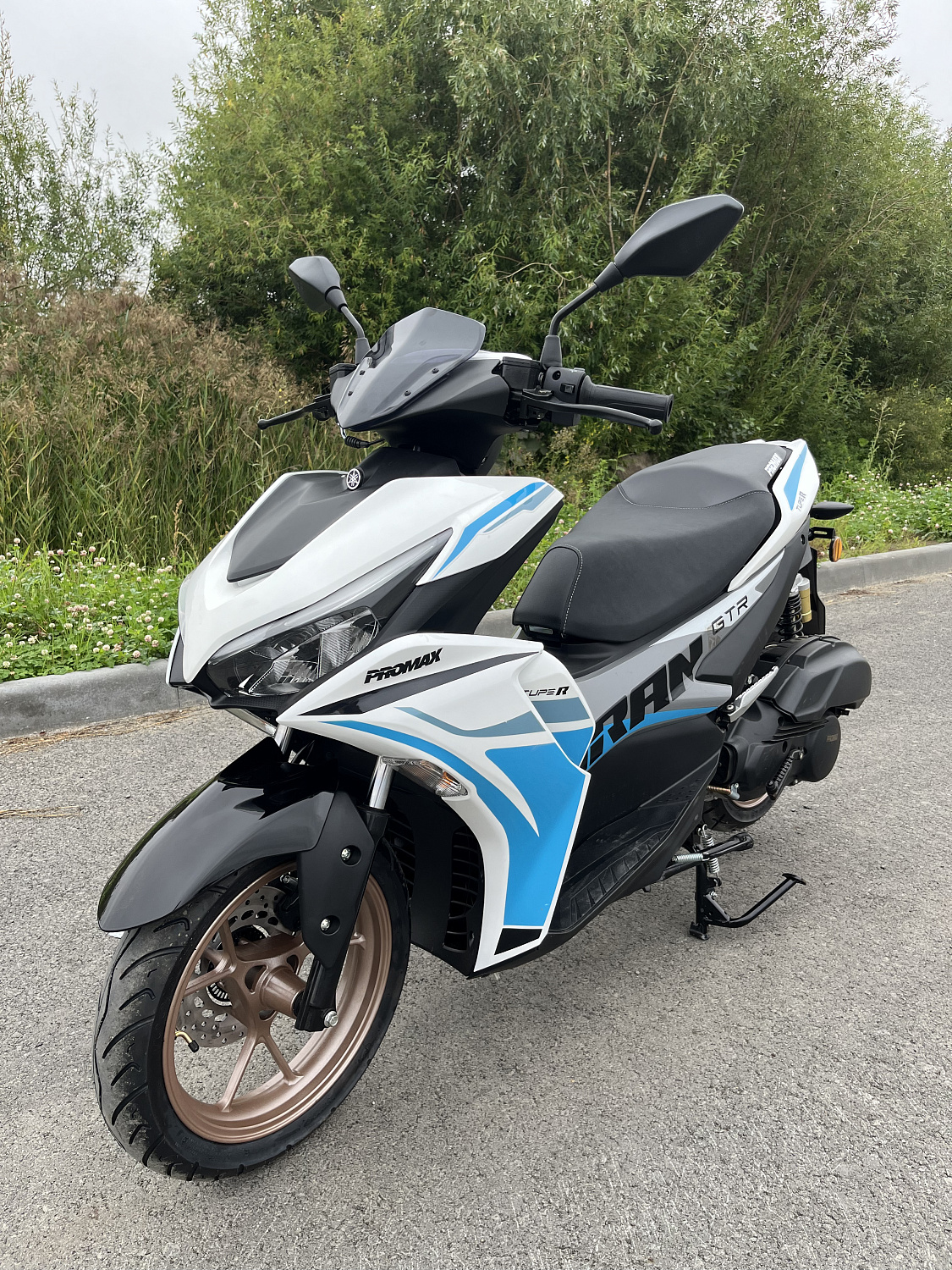 Скутер PROMAX TURAN 250 (49) в Волгодонске