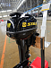 Лодочный мотор STELS 9.9HP в Волгодонске