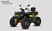 Квадроцикл PROMAX TAURUS 300 MAX-PRO LONG в Волгодонске